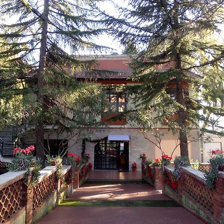 Villa Morgante B&B Pedara Bagian luar foto