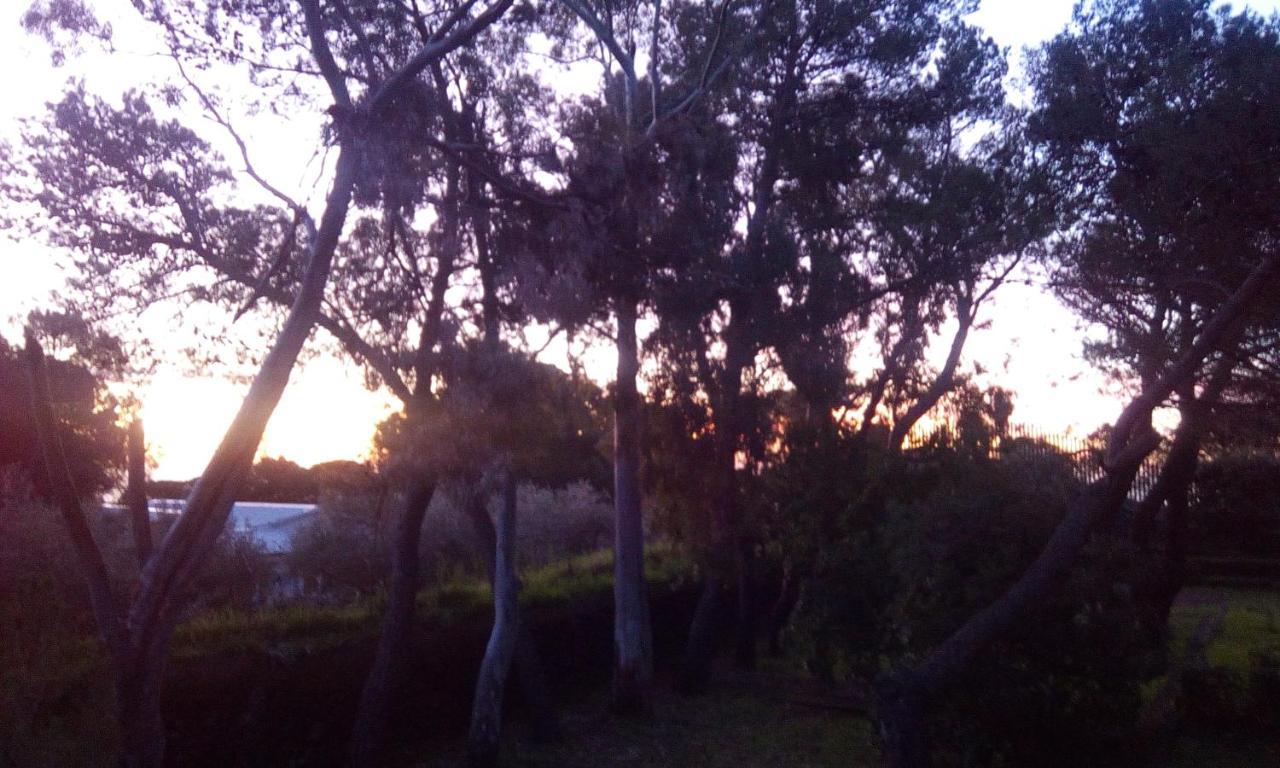 Villa Morgante B&B Pedara Bagian luar foto