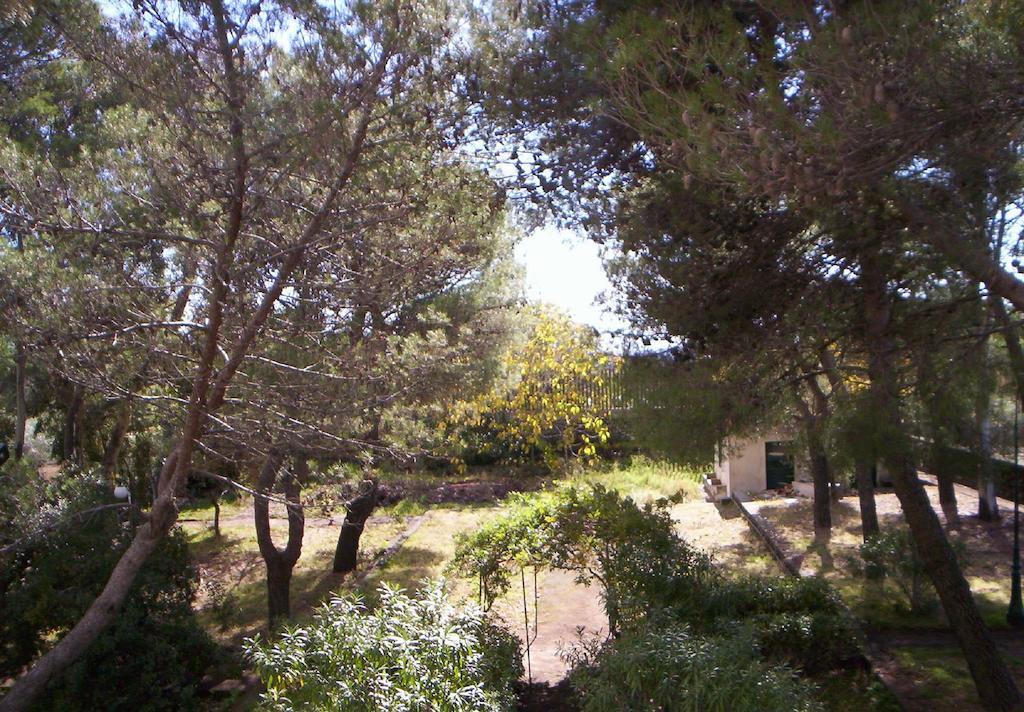 Villa Morgante B&B Pedara Bagian luar foto