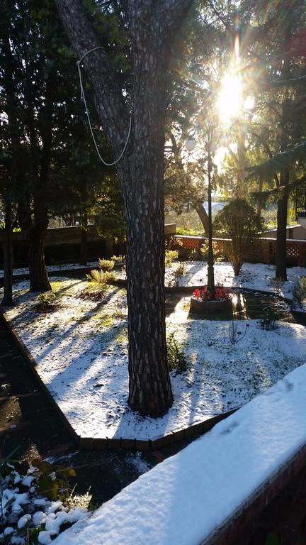 Villa Morgante B&B Pedara Bagian luar foto
