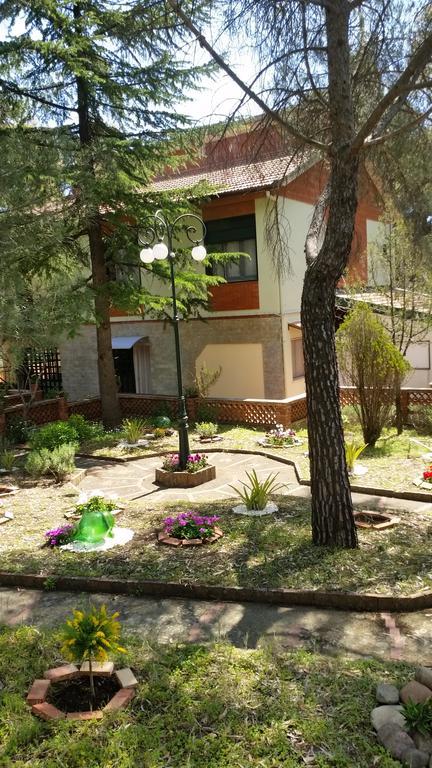 Villa Morgante B&B Pedara Bagian luar foto