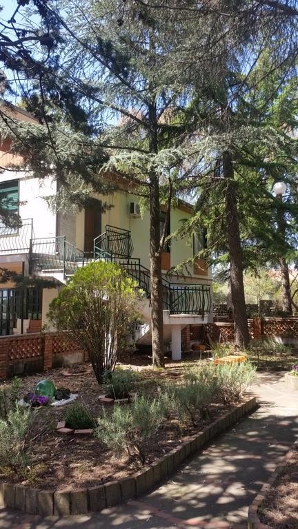 Villa Morgante B&B Pedara Bagian luar foto