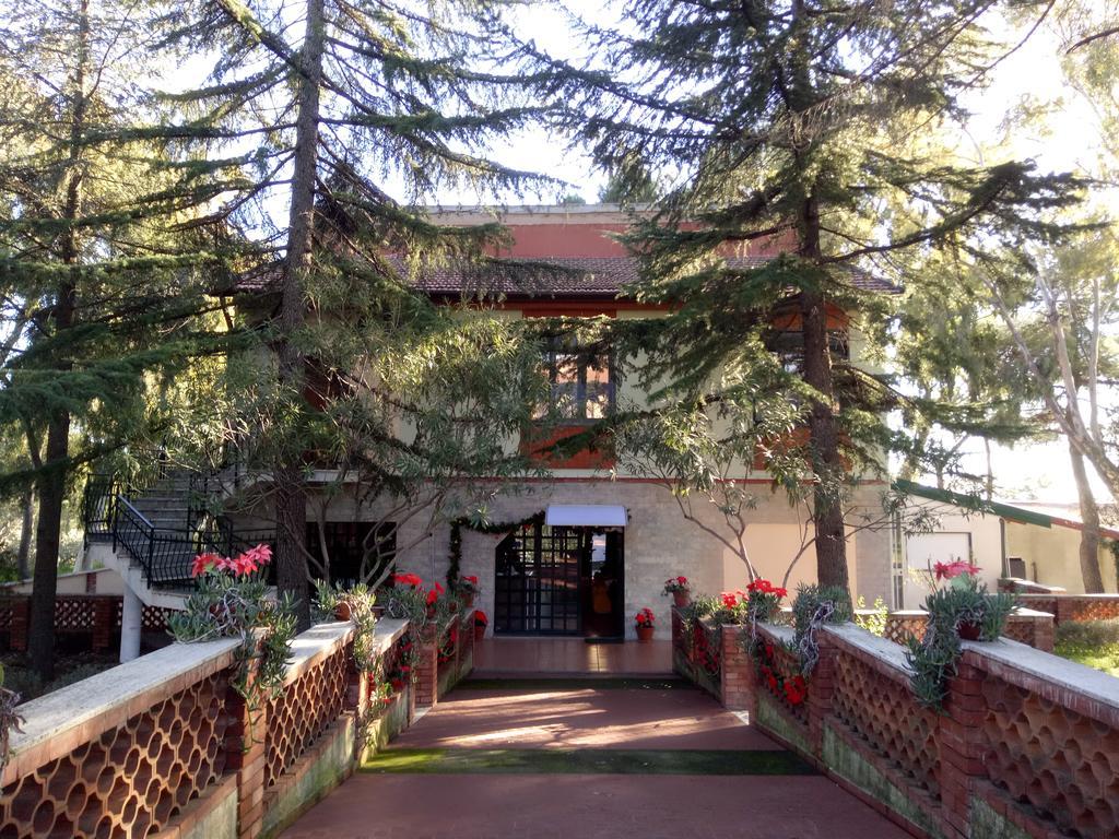 Villa Morgante B&B Pedara Bagian luar foto