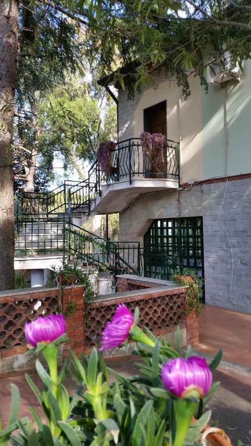Villa Morgante B&B Pedara Bagian luar foto