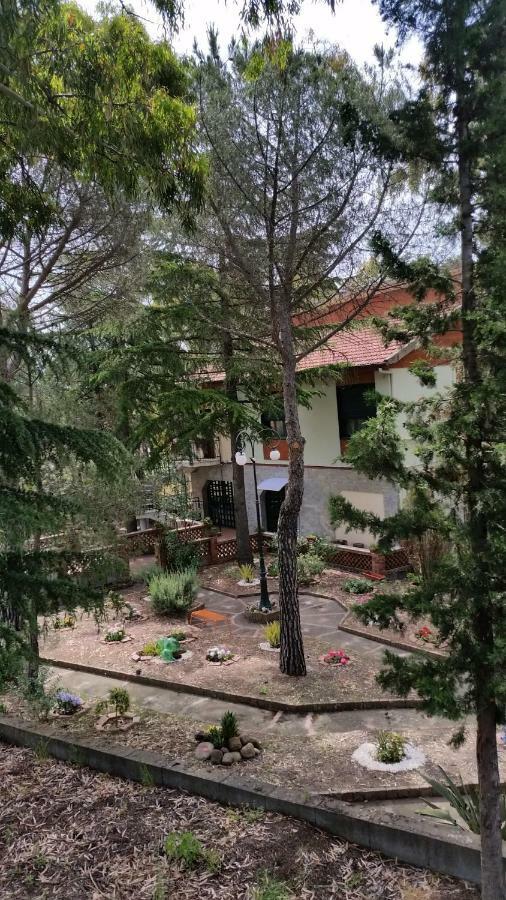 Villa Morgante B&B Pedara Bagian luar foto