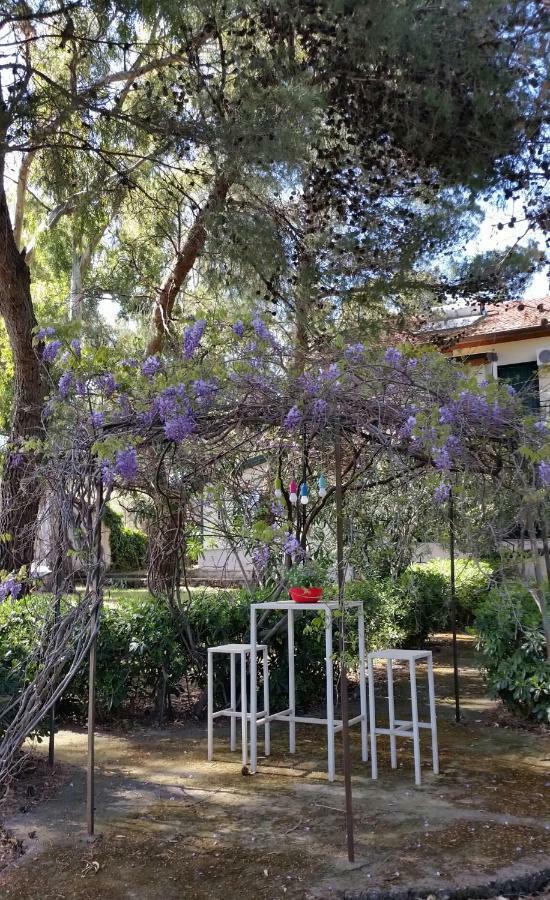 Villa Morgante B&B Pedara Bagian luar foto