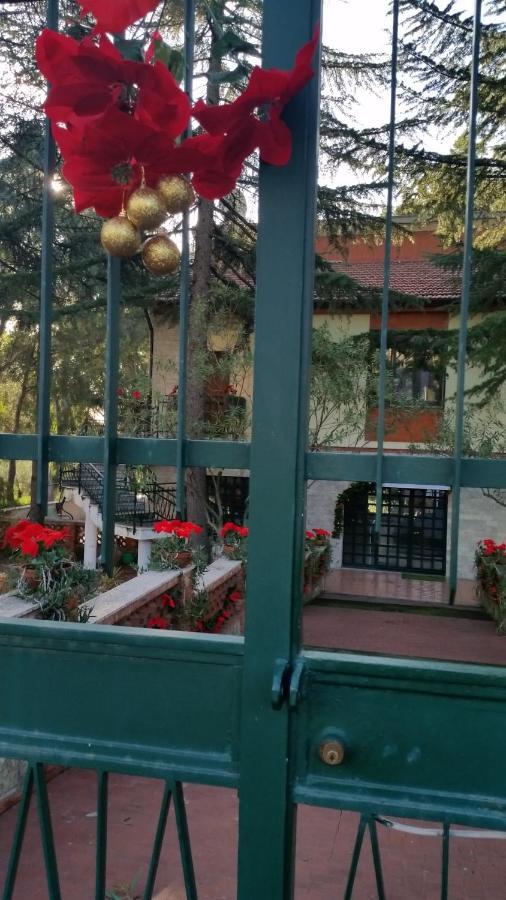 Villa Morgante B&B Pedara Bagian luar foto